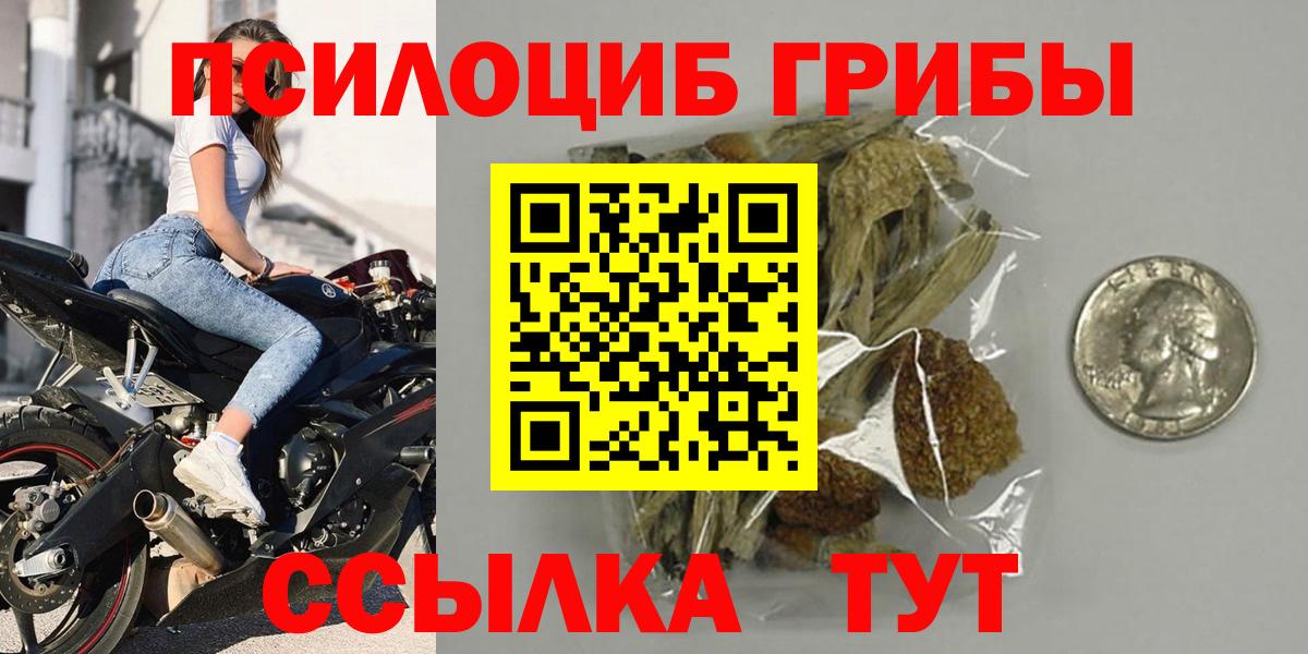 Камышин  купить наркотики цена  Вход с VPN  Галлюциногенные грибы мицелий 